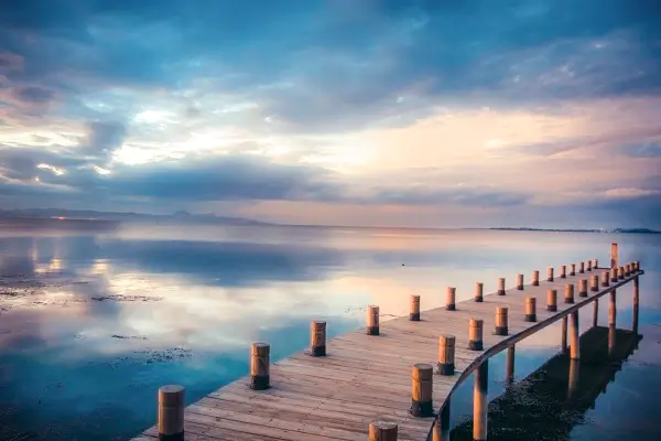 苏式月饼哪个牌子好吃