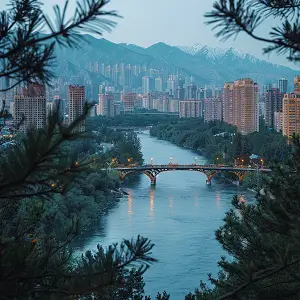 花胶是鱼的哪个部位