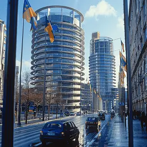 甜当归和苦当归哪个好