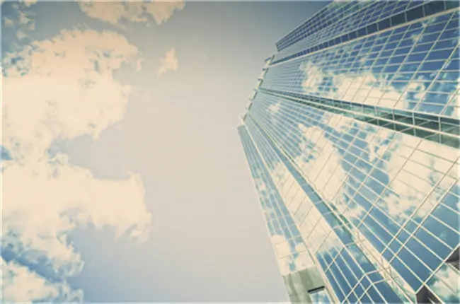 肘子是哪个部位图解