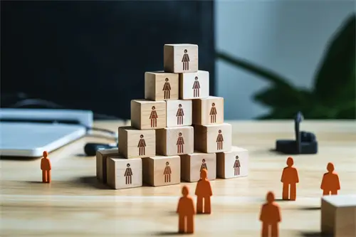 奇亚籽哪个牌子好